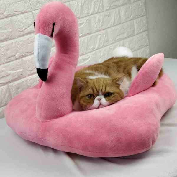 Pet Bed in the Shape of A Flamingo - Image 3
