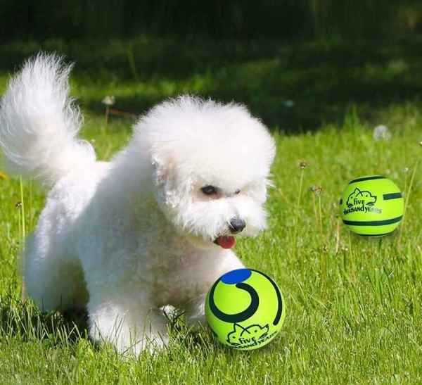 Pet Sound Ball - Image 3