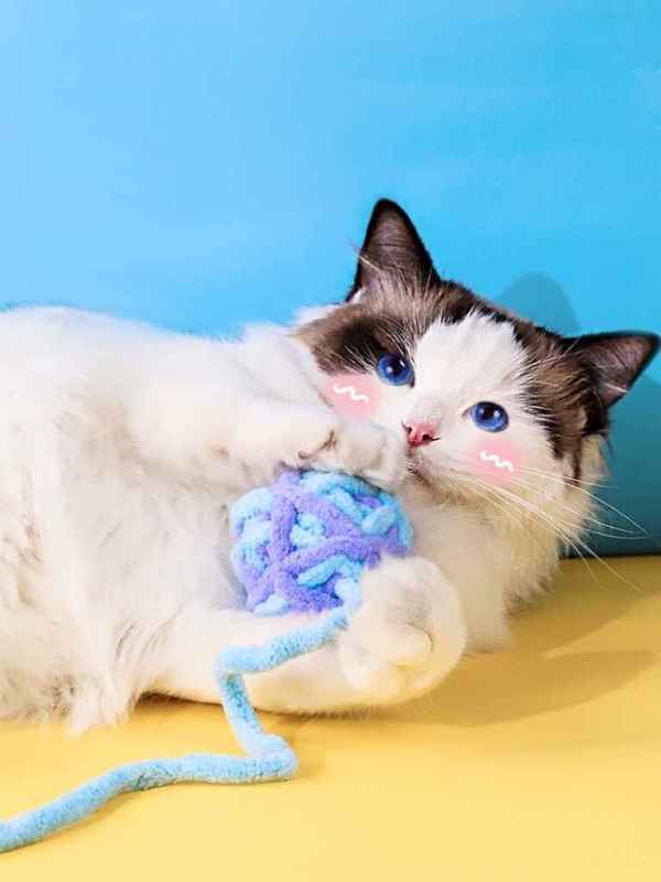 Ball of Yarn - Image 4