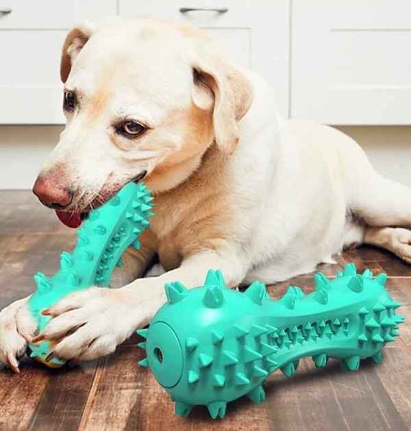 Dog Tooth Cleaning Stick - Image 4