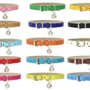 Colorful Pet Collar with A Bell