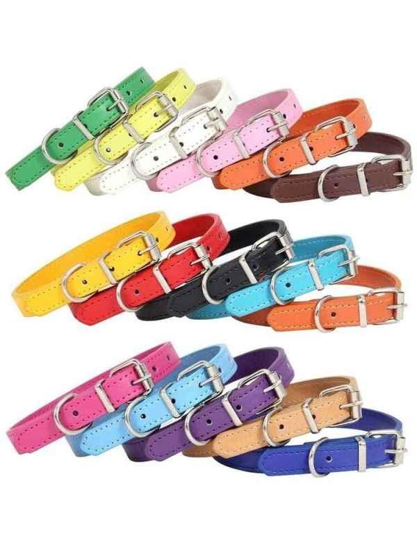 Colorful Pet Collar