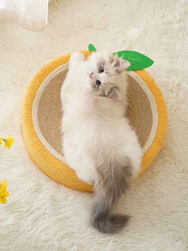 Round Fruit Style Cat Scratching Board - Image 6