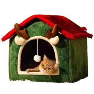 Fortune Pet Bed