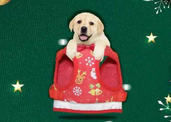 Pet Harness Vest for Christmas Collection