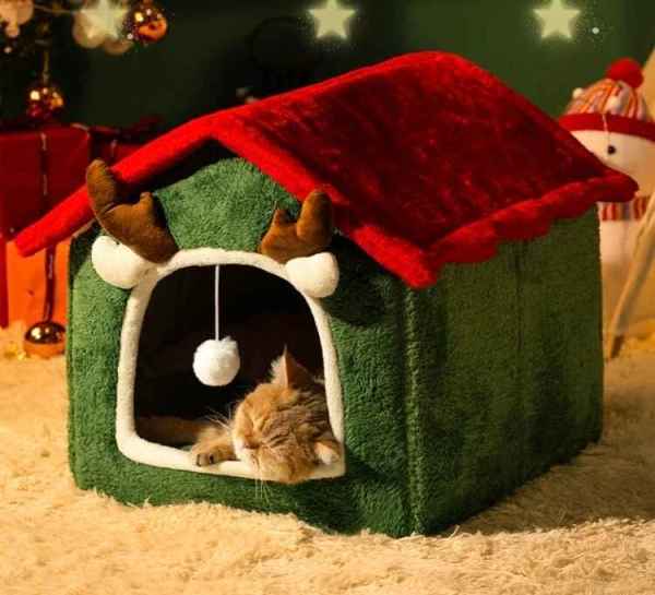 Fortune Pet Bed - Image 2