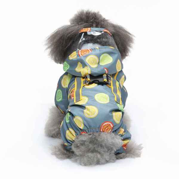 Pet Raincoat with Hat - Image 2