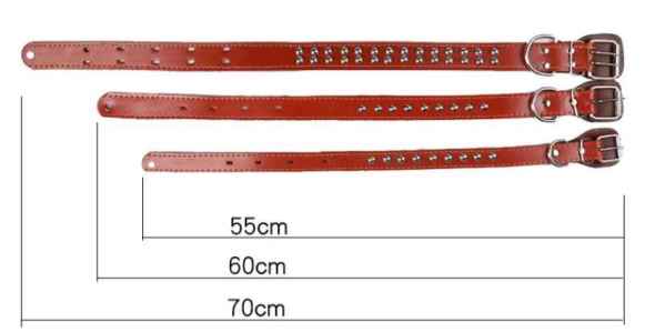 Pet Collar with Rivets - Image 2