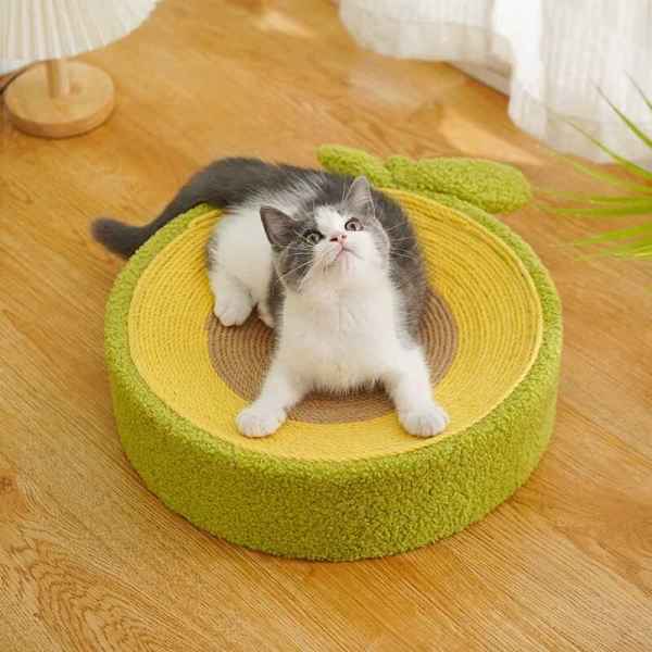 Round Fruit Style Cat Scratching Board - Image 5