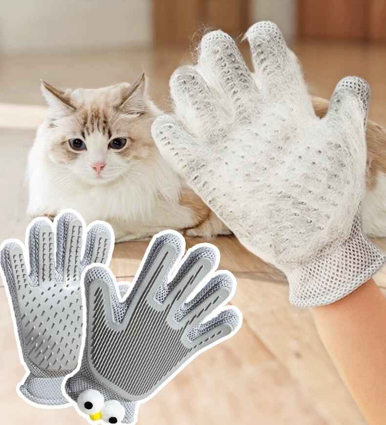 pet cleaning