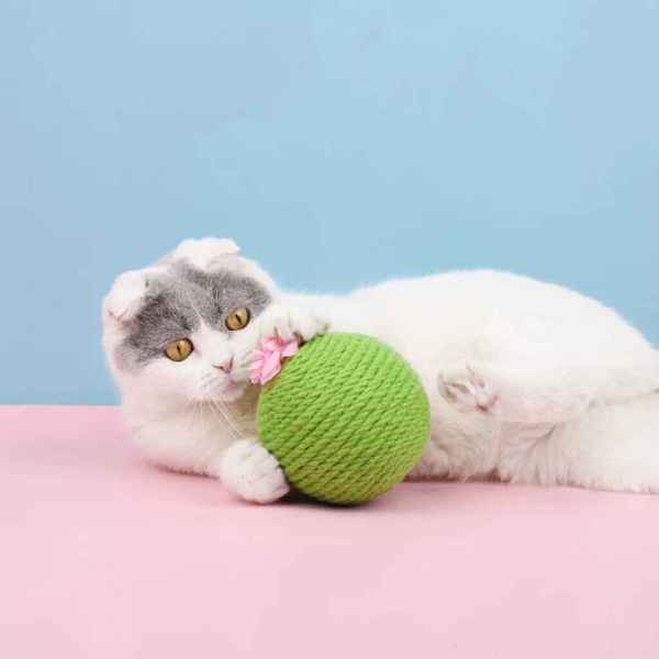 Cactus Sisal Ball - Image 2