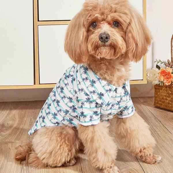 Hawaiian Pet Shirt - Image 2