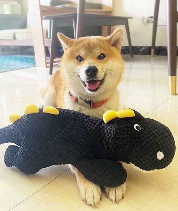 Large Sound Pet Toy - Image 5